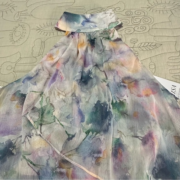 NWT MISA Victorine High Low Watercolor Chiffon High Low Dress Size S - Picture 8 of 11